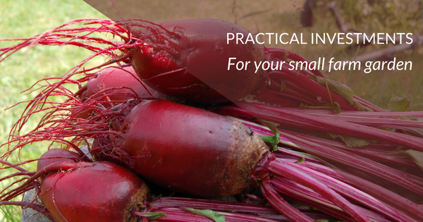 Practical gardening investments for your small farm garden Practical gardening investments for your small farm garden